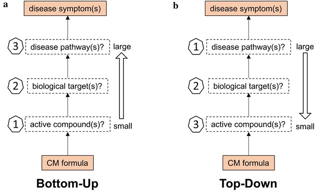 The comparison of two different approaches in studying the pharmacology of CM formula: bottom-up and top-down. In the bottom-up approach (a), the pharmacology of CM formula is investigated from small scale (compound) to large scale (pathway). The CM formula is firstly breakdown into hundreds or thousands of compound with various experimental or computational methods. Then the biological target(s) of these compounds are identified via literature search, in silico inference, and/or experimental validation. Finally, the affected disease pathway(s) were studied. In contrast, in the top-down approach (b), the pharmacology of CM formula is investigated from large scale (pathway) to small scale (compound). The CM formula is treated as a whole and the affected disease pathway(s) are elucidated firstly. Then the biological target(s) are proposed and an assay method is established based on this target(s). Finally, the active compound(s), which are responsible for acting on this target(s) and altering the disease pathway(s), are screened and identified with the established assay. (The arrow of b should be changed?)