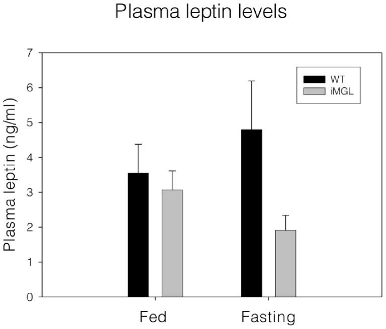 Leptin levels in iMGL mice plasma.Plasma leptin levels (n = 13 per group). Data represent mean ± S.E.