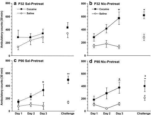 Effects of age and nicotine pretreatment on cocaine-induced ambulatory sensitization. Mean ± SEM ambulatory counts for adolescent (a, b) and adult (c, d) rats after daily i.v. cocaine (0.4 mg/kg) or saline injections for 3 days. All animals received i.v. cocaine (0.4 mg/kg) on day 5 (challenge). Nicotine pretreatment effects were significant in adolescent, but not adult rats. Panel c and d are shown separately for consistency, but no treatment-related significant differences were observed. Nicotine-pretreated adolescents (b) and saline-pretreated adults (c) developed a sensitized response to cocaine on day 3 whereas nicotine-pretreated adults (d) showed a strong trend (± p = 0.06, +p < 0.05, day 3 vs. day 1). On challenge day, expression of a sensitized response was observed in nicotine-pretreated adolescents (b) and saline-pretreated adults (c), while a strong trend was observed in nicotine-pretreated adults (d). * p = 0.06, * p < 0.05, ** p < 0.01 vs. saline; n = 11-13/group