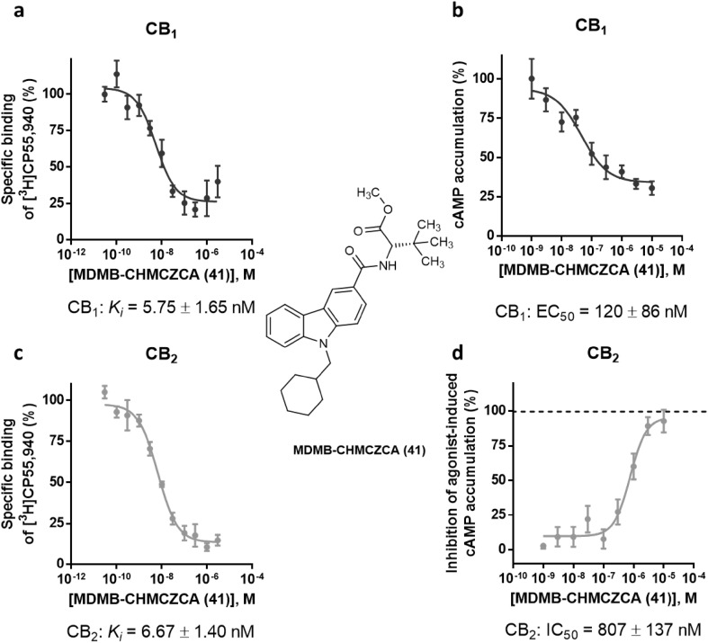 Pharmacological characterization of the carbazole derivative MDMB-CHMCZCA (41). a Affinity of MDMB-CHMCZCA (41) for the cannabinoid receptor CB1 determined in radioligand binding studies. b Receptor activation of the cannabinoid CB1 receptor by MDMB-CHMCZCA (41) determined in cAMP accumulation assays. c Affinity of MDMB-CHMCZCA (41) for the cannabinoid receptor CB2 determined in radioligand binding studies. d Inhibition of cannabinoid CB2 receptor activation induced by CP55,940 (0.03 µM) by MDMB-CHMCZCA (41) measured in cAMP accumulation assays