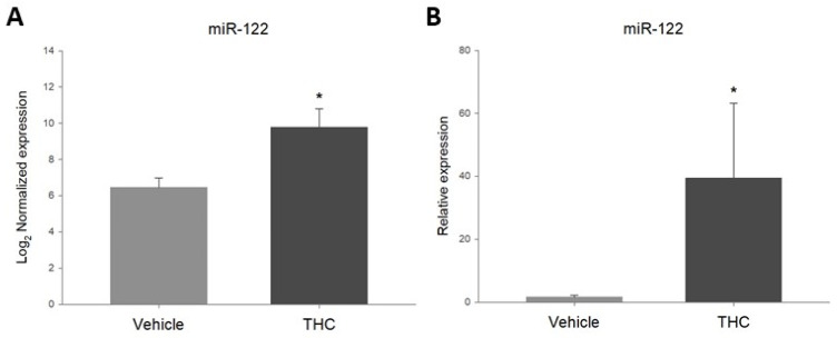 Differential expression of miR-122-5p (miR-122) in adult rat ovaries prenatally exposed to THC analyzed with (A): Rat v1.5 miRNA assay (Nanostring Technologies, Seattle, DC, USA), nSolver® and ROSALIND® analysis software, and (B): miRCURY™ LNA miRNA PCR assay system (Qiagen, Hilden, Germany) and SigmaPlot® (mean + SEM; N = 5, * p < 0.05).