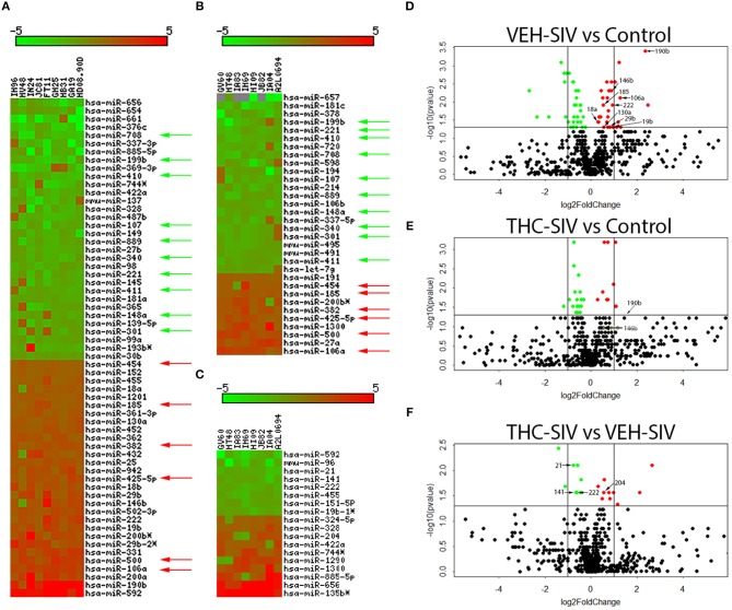 Changes in miRNA expression in whole colon tissue of chronically SIV-infected rhesus macaques administered vehicle (VEH) or delta-9-tetrahydrocannabinol (Δ9-THC). The heat map shows all differentially expressed (p ≤ 0.05) miRNAs in whole colon tissue of VEH/SIV vs. controls (A), THC/SIV vs. controls (B), and VEH/SIV vs. THC/SIV (C). MiRNA species originating from the opposite arm of the precursor are denoted with an asterisk (*). Volcano plot shows the relationship between fold-change (X-axis) and statistical significance (Y-axis) of differentially expressed miRNAs in VEH/SIV (D) and THC/SIV (E) rhesus macaques relative to controls and in THC/SIV relative to VEH/SIV rhesus macaques (F). The vertical lines in (D–F) correspond to 2.0-fold up and down, respectively, and the horizontal line represents p ≤ 0.05. The negative log of statistical significance (p-value) (base 10) is plotted on the Y-axis, and the log of the fold change base (base 2) is plotted on the X-axis in (D–F). Green and red arrows indicate, respectively, downregulated and upregulated miRNAs common to VEH/SIV and THC/SIV rhesus macaques. The location of miRNAs of interest is denoted with arrows in (D–F) without the prefix (miR) due to space limitations.