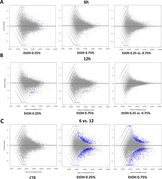 MA plots for changes in transcriptome after ethanol treatment. A Treatment for 6 h; B treatment for 12 h; C comparison of 6 h and 12 h treatments. Treatments are compared against control samples unless specified differently in the plot