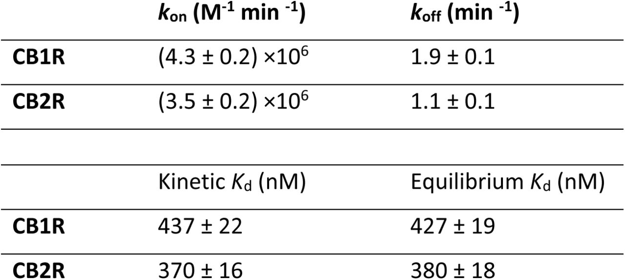 Kinetic parameters kon and koff and affinity values of D77 fluorescent tracer at 37°C Values are calculated from kinetic association experiments and from saturation experiments performed at equilibrium. Data shown are mean ± SEM of 4 experiments conducted independently
