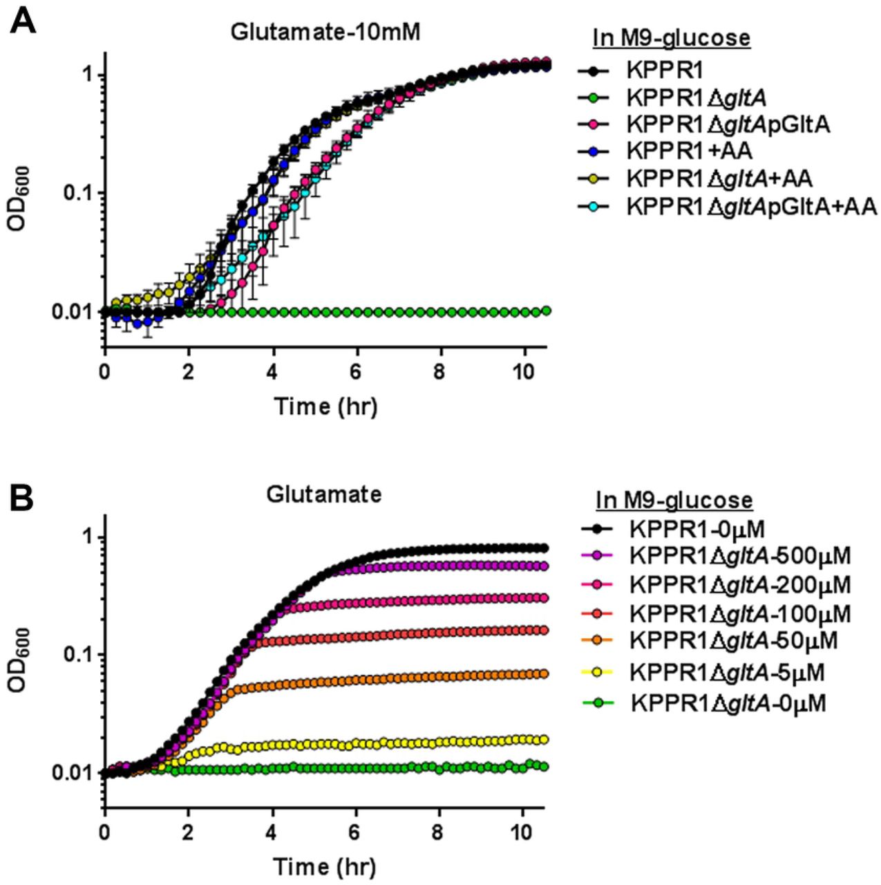 Auxotrophy due to deletion of gltA is functionally complimented by glutamate.(A) WT KPPR1, KPPR1ΔgltA, and KPPR1ΔgltA pGltA were grown in M9 minimal media + 20% glucose with 10 mM glutamate (n = 3, mean displayed ± SEM) or (B) increasing concentrations of glutamate (n = 3, mean displayed ± SEM). “+AA” label indicates addition of amino acid to growth media at concentrations indicated in graph title.