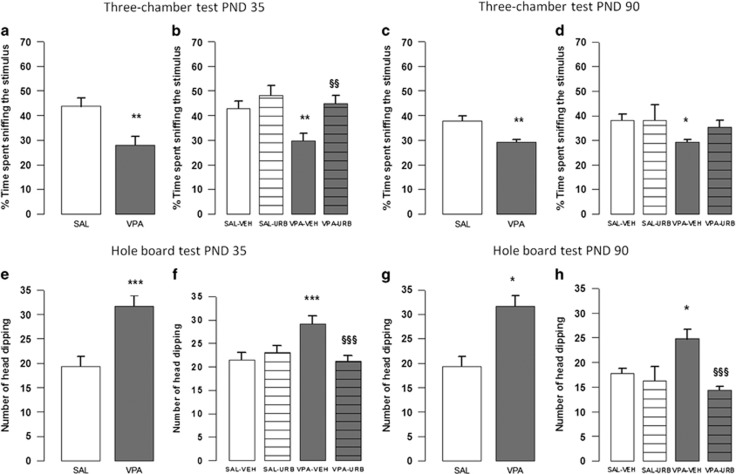Three-chamber and hole-board tests. Prenatal VPA exposure reduced sociability in the three-chamber test (a and c) at PND 35 (n (SAL)=8, n (VPA)=9) and 90 (n (SAL)=15, n (VPA)=13) and induced stereotypic behavior in the hole-board test (e and g) at PND 35 (n (SAL)=11, n (VPA)=12) and 90 (n (SAL)=12, n (VPA)=12). URB597 mitigated the altered sociability (b and d) displayed by VPA-exposed offspring at PND 35 (n (SAL-VEH)=13, n (VPA-VEH)=13, n (SAL-URB)=8, n (VPA-URB)=10) and 90 (n (SAL-VEH)=11, n (VPA-VEH)=12, n (SAL-URB)=8, n (VPA-URB)=8). Furthermore, URB597 mitigated the stereotypies (f and h) displayed by VPA-exposed offspring at PND 35 (n (SAL-VEH)=20, n (VPA-VEH)=19, n (SAL-URB)=20, n (VPA-URB)=19) and 90 (n (SAL-VEH)=8, n (VPA-VEH)=10, n (SAL-URB)=8, n (VPA-URB)=8). Data represent mean±s.e.m. *P<0.05, **P<0.01, ***P<0.001 vs SAL-VEH group; §§P<0.01, §§§P<0.01 vs VPA-VEH group (Student's t-test (a, c, e and g); Student's–Newman–Keuls post hoc test (b, d, f and h)). PND, postnatal day; SAL, saline; VEH, vehicle; VPA, valproic acid.