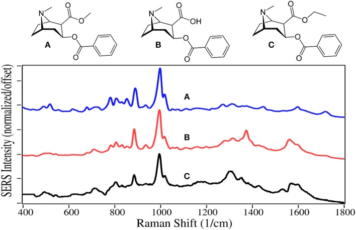 Structures and 100 ppm SERS of (A) cocaine, (B) benzoylecgonine, and (C) cocaethylene.