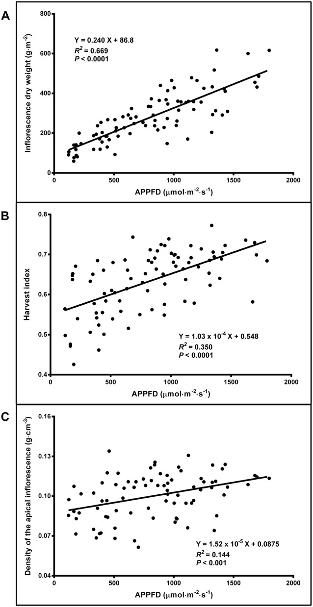 The relationship between average apical photosynthetic photon flux density (APPFD) applied during the flowering stage (81 days) and inflorescence dry weight (A), harvest index (total inflorescence dry weight / total aboveground dry weight) (B), and apical inflorescence density (based on fresh weight) (C) of Cannabis sativa ‘Stillwater’. Each datum is a single plant.
