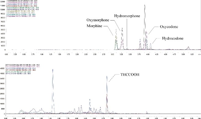 Multiple reaction monitoring chromatograms of an authentic wastewater sample from Tallman Island Wastewater Treatment Plant (Queens, NYC) showing positive results for THCCOOH (184.1 ng/L), morphine (181.9 ng/L), hydromorphone (10.0 ng/L), oxymorphone (56.8 ng/L), oxycodone (63.3 ng/L) and hydrocodone (10.3 ng/L).