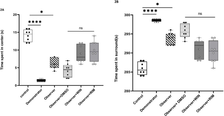 Effects of the CB1R agonist (WIN) and antagonist (rimonabant) on anxietyNote: Time spent in the center area in the open field test is marked (A), and time spent in the surrounding area is marked (B). Data are shown as the median and interquartile range, and n=8 rats in each group. ****P<0.0001 and *P<0.05 compared with the demonstrator and observer groups, respectively.