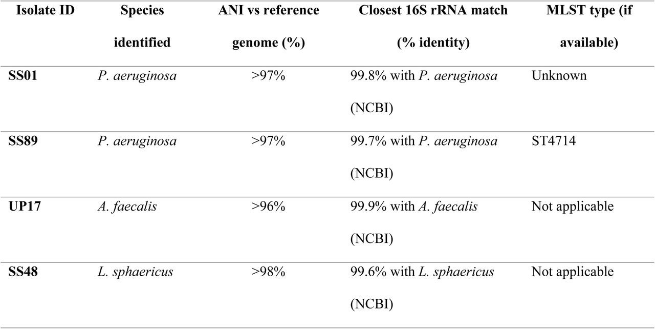 Species confirmation and typing results for the four clinical isolates