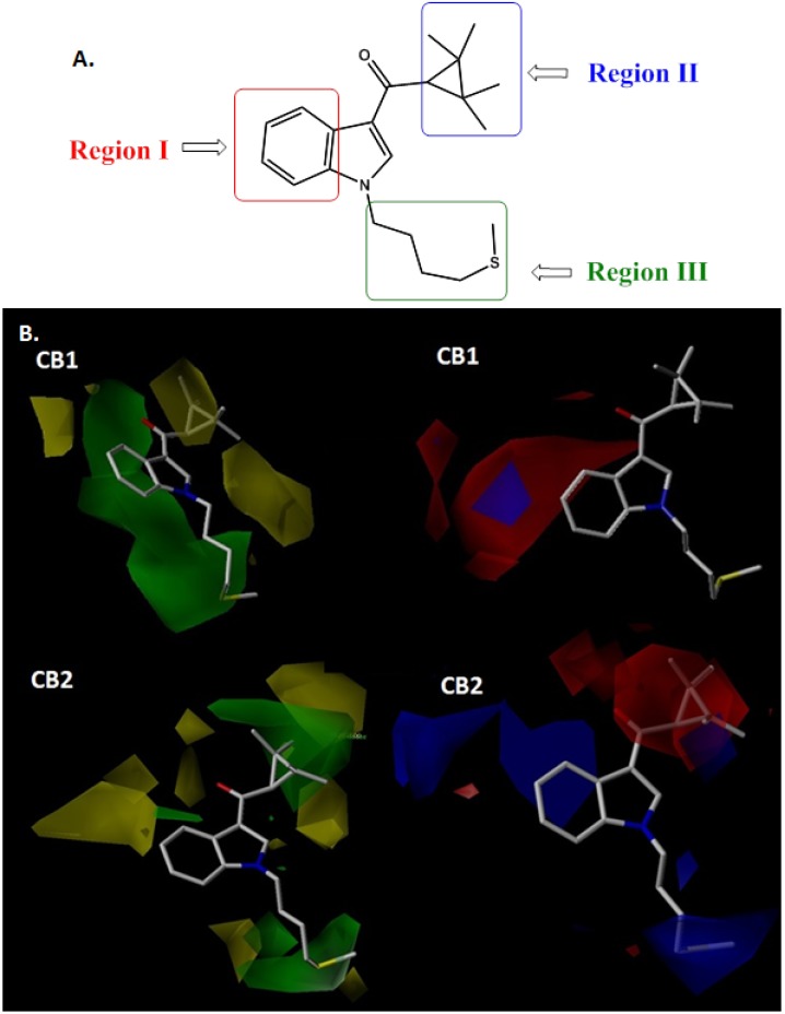 A. Molecular Regions analyzed. B. CoMFA steric (left) and electrostatic (right) contour maps for CB1 and CB2 receptors around compound 90, the most active of the series. Sterically favored (green) and disfavored (yellow); electropositive (blue) and electronegative (red).