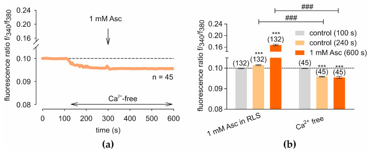 Asc-induced Ca2+ responses are absent in Ca2+-free solution. The fluorescence ratios were normalized to baseline conditions (control set to 0.1, dashed line). (a) At 120 s, the control solution was replaced with a Ca2+-free solution (5 mM EGTA), (n = 45), resulting in a slight decrease in the baseline level. At 300 s, 1 mM Asc was added to the Ca2+-free solution (arrow), which did not induce an increase in [Ca2+]i. (b) A statistical analysis of the measurements shown in panel (a) is presented. The response to 1 mM Asc in RLS (Figure 1a) is compared with that in Ca2+-free solution (a). Mean ± SEM are shown at 100 s, 240 s, and 600 s. The numbers in brackets above the columns indicate the number of single cells measured (n). Asterisks (*) indicate statistical significance in paired data (*** p < 0.001), whereas hashtags (#) indicate statistical significance in unpaired data (### p < 0.001). Statistical significance was defined as p < 0.05.