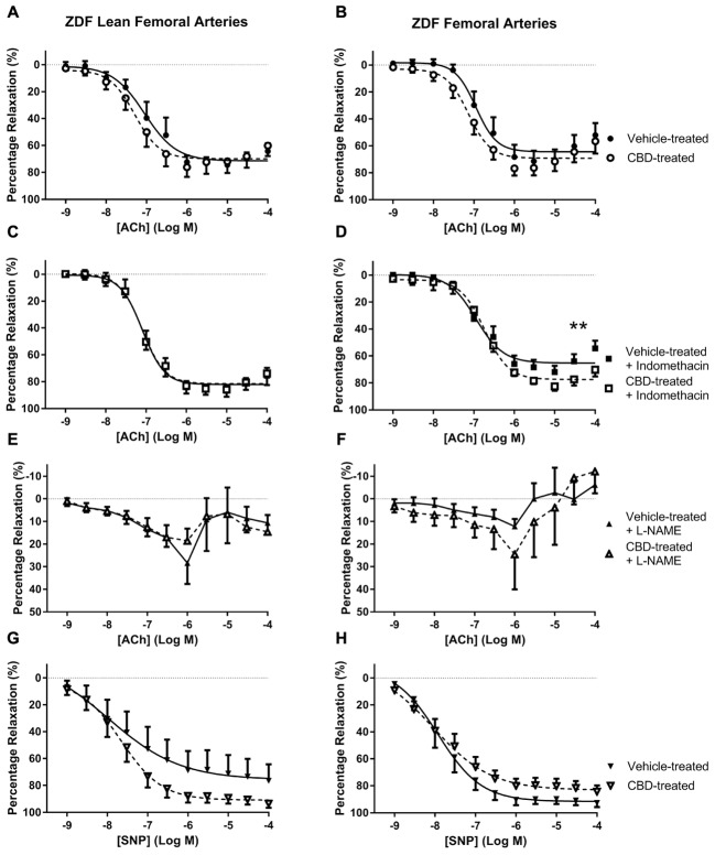 The effect of CBD (open symbols) or vehicle (closed symbols) treatment on ex vivo responses to ACh (A–F) and SNP (G,H) in rings of femoral arteries taken from ZDF Lean (left side) or ZDF rats (right side). Some arteries were incubated in vitro in the presence of 3 μM indomethacin (squares, C,D), or 300 μM L-NAME (upward triangles, E,F). Data are mean ± SEM, n = 5/6. ∗∗P < 0.01 comparing the efficacy (Rmax) of Ach in ZDF arteries after 7 days CBD treatment.