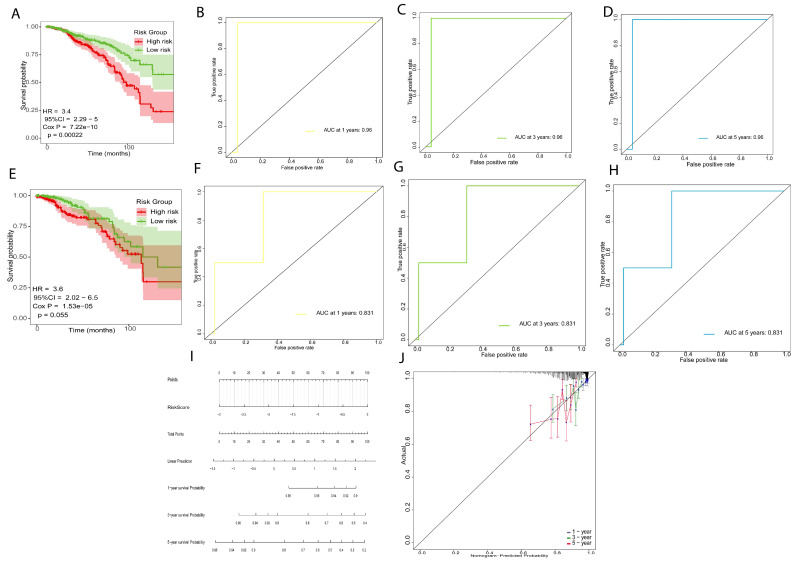Verification of the prognostic risk signature model. (A–D) Survival analysis curve and ROC of training sets. (E–H) Survival analysis curve and ROC of validation sets. (I) Nomogram of prognostic risk signature model. (J) Nomogram calibration curves to predict 1-, 3-, and 5-year survival.