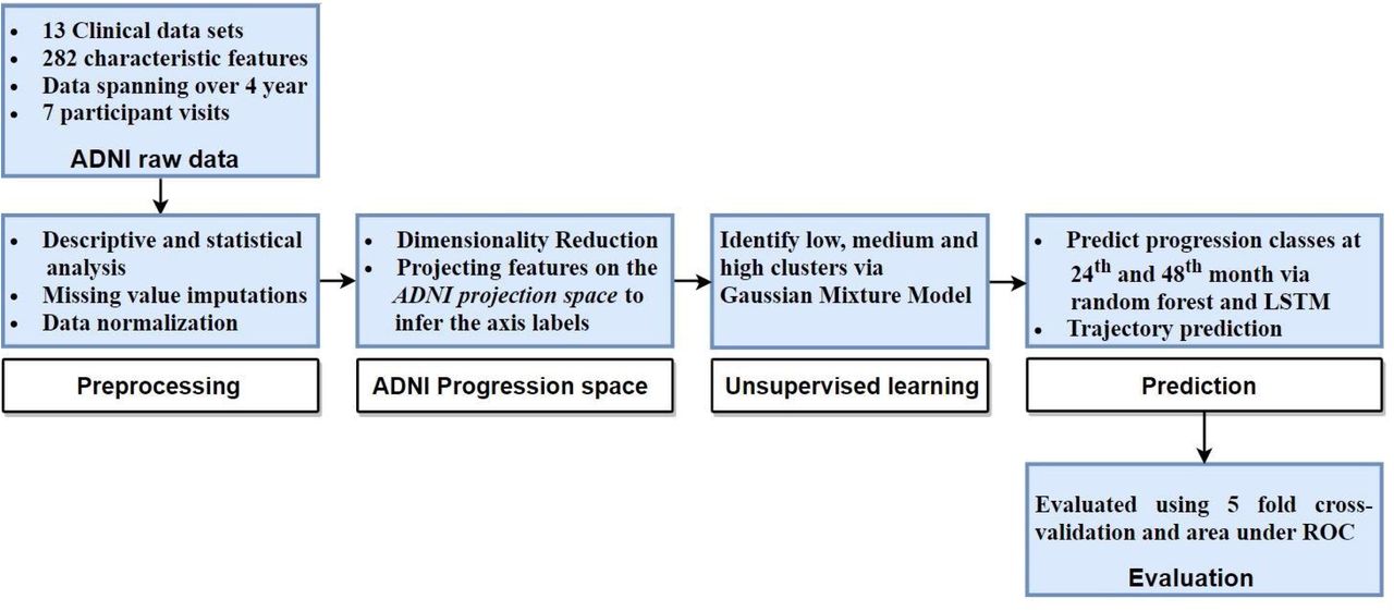 The workflow of analysis and model development.