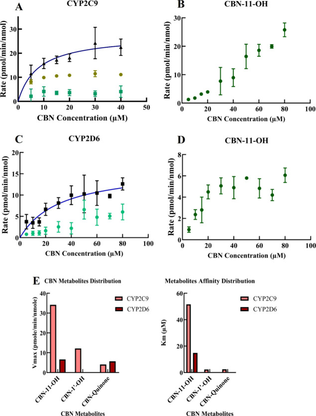 Quantitative LC/MS/MS measuring the kinetics of CBN metabolism by CYP2C9 and CYP2D6. The substrate concentration of CBN was 5–80 μM. The metabolism by CYP2C9 shows the formation of (A) CBN-1′-OH and CBN-quinone, and the total product rate (B) CBN-11-OH. Also, the kinetics of the formation of CBN-11-OH and the other metabolites are different. (C) CYP2D6-mediated metabolism also shows the formation of CBN-quinone, and the total product rate (D) CBN-11-OH. We detected no formation of CBN-1′-OH-in CYP2D6-mediated metabolism. (E) Comparative Vmax and Km values for CYP2C9 and CYP2D6 with respect to different metabolites as estimated. The Vmax and Km values were estimated using GraphPad prism. The error bars represent the SEM value of the respective samples, where n is n = 3.