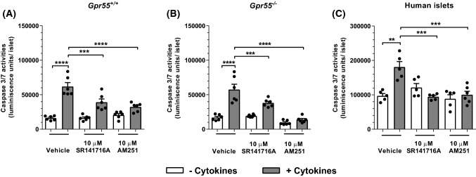 Effects of SR141716A and AM251 on mouse and human islet apoptosis. Effects of 10 μM SR141716A and AM251 on apoptosis of Gpr55+/+ (a) and Gpr55−/− (b) islets and human (c) islets after 20 h of culture in the absence or presence of a cytokine cocktail (grey bars). Apoptosis was detected by luminescence assay of caspase 3/7 activities. Data are expressed as mean + SEM representative of five independent experiments for both mouse and human islets, each of 6–8 replicates. **P < 0.01, ***P < 0.001, ****P < 0.0001. Data were analysed using one-way ANOVA with repeated measures, followed by Tukey’s multiple comparison post test