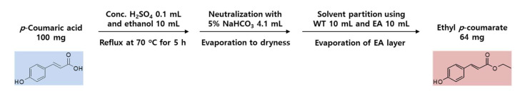 Chemical synthesis of ethyl p-coumarate from p-coumaric acid.