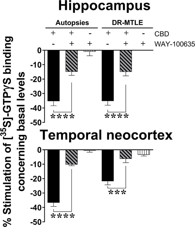 Effect of CBD (100 μM) on the constitutive activity of Gi/o proteins alone and combined with WAY100635 on [35S]-GTPγS binding in cell membranes obtained from the hippocampus (top panel) and temporal neocortex (bottom panel) of autopsies and patients with drug-resistant MTLE. Values are expressed as the mean ± SEM. ***p < 0.001; ****p < 0.0001.