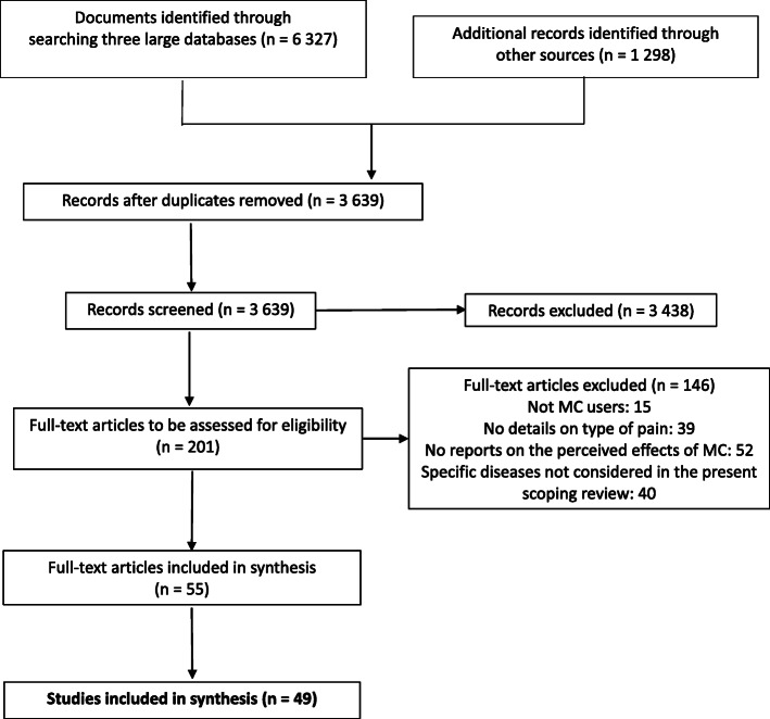 Flowchart of the scoping review