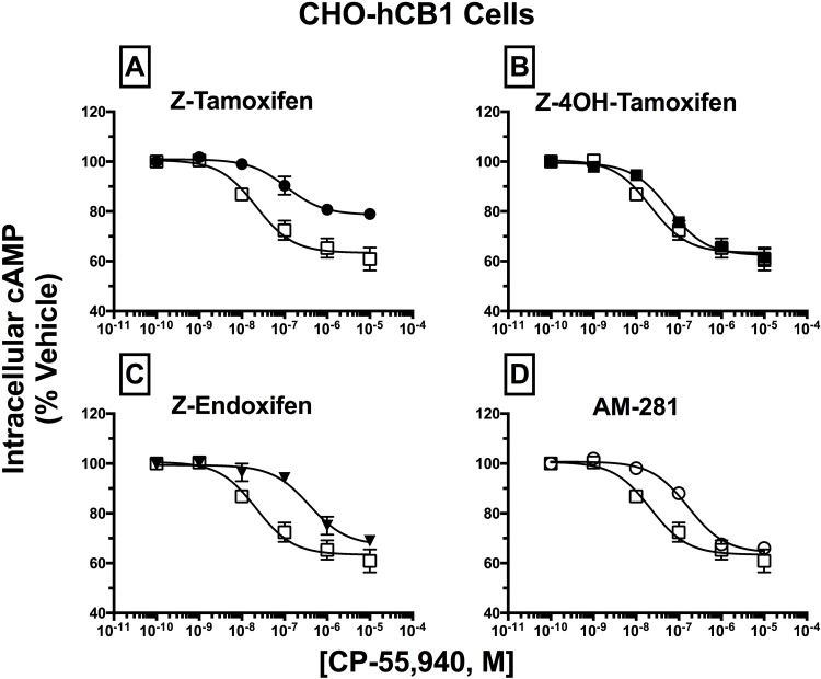 Antagonism of CP-55,940 inhibition of forskolin-stimulated AC activity by SERM isomers in intact CHO-hCB1 cells.CHO-hCB1 cells were pre-incubated for 30 min with receptor saturating concentrations of individual SERMs and were subsequently co-incubated for 7 min with increasing concentrations of CP-55,940. Measurements of CP-55,940 effects alone on potency (IC50) and efficacy (EMAX) of intracellular cAMP were obtained and were compared to the shifts in IC50 and EMAX values observed in [A-D]. All IC50, EC50, and KB values (mean ± SEM) were derived from non-linear regression analysis of the curves shown in [A-D] and are presented in Table 3 with statistical analysis. Open squares represent the concentration-effect curve for CP-55,940 alone, while filled symbols represent the action of CP-55,940 in the presence of the SERM indicated [A-C] or the selective CB1R inverse agonist AM-281 [D].