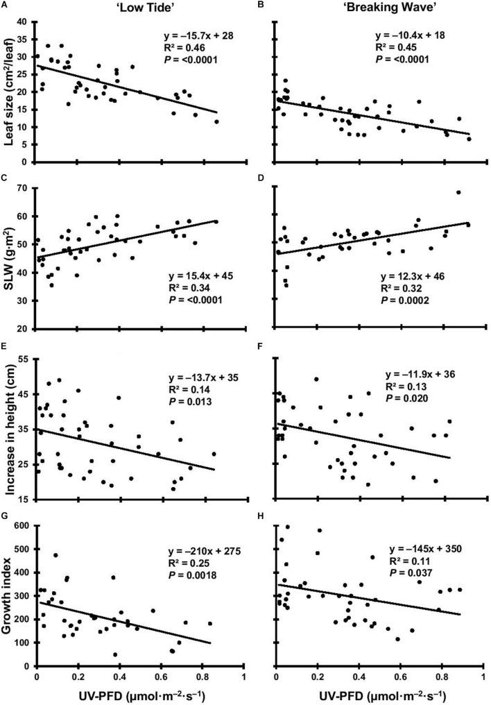 The leaf size of Cannabis sativa ‘Low Tide’ (A) and ‘Breaking Wave’ (B), the specific leaf weight (SLW) of ‘Low Tide’ (C) and ‘Breaking Wave’ (D), the increase in height of ‘Low Tide’ (E) and ‘Breaking Wave’ (F) and the growth index of ‘Low Tide’ (G) and ‘Breaking Wave’ (H) in response to increasing UV-PFD. Each datum is a single plant.