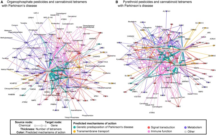 (A, B) Quantitative bipartite network showing the chemical–gene connections between (A) cannabinoids and organophosphate pesticides and (B) cannabinoids and pyrethroid pesticides in the CTD. The chemical–gene connections were quantified by the number of curated and inferred tetramers connecting organophosphate pesticides, pyrethroid pesticides, and cannabinoids to Parkinson’s disease through genes and phenotypes in the CTD. The connections for each pesticide class were passed into Gephi—a network analysis and visualization application—to create a bimodal network color-coded by the gene’s biological function according to KEGG pathways and the Reactome Knowledgebase.