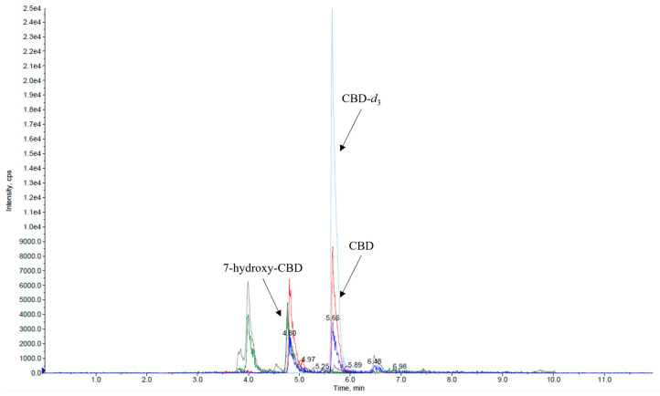 Representative chromatogram obtained from a serum sample processed using the manual preparation method, showing CBD and 7-hydroxy-CBD at concentrations of 49 ng/mL and 81 ng/mL, respectively. CBD (red line); 7-hydroxy-CBD (grey line); CBD-d3 (light blue line).