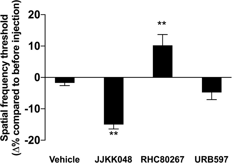 The inhibition of 2-AG degradation decreases visual acuity, while the inhibition of its synthesis increases it. The visual acuity of adult mice was tested, and they received an i.p. injection of MAGL inhibitor JJKK048 (4 mg/kg), DAGL inhibitor RHC80267 (10 mg/kg), FAAH inhibitor URB597 (7.5 mg/kg), or vehicle after which their visual acuity was tested 30 min later. The JJKK048 induced a decrease in the spatial frequency threshold compared to before injection, the RHC80267 provoked an enhancement of the spatial frequency threshold while the URB597 did not reach any statistical significance. Vehicle, n = 12; JJKK048, n = 12; RHC80267, n = 14; URB597, n = 14. Statistical analysis was performed by one-way ANOVA with Dunnett post hoc test. The values are mean ± SEM. ** p = 0.0062 (JJKK048), p = 0.0097 (RHC80267) compared to the vehicle.