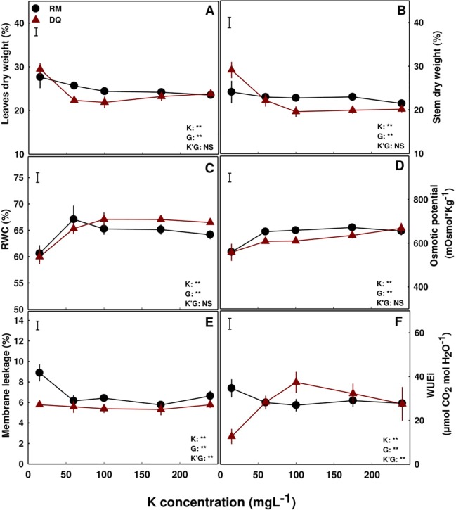 Physiological characteristics of medical cannabis plants. %DW of leaves (A) and stems (B), relative water content (RWC) (C), osmotic potential (D), membrane leakage (E) and intrinsic water use efficiency (WUEi) (F), of two medical cannabis cultivars, RM and DQ. Presented data are averages ± SE (n = 5). Results of two-way ANOVA indicated as **P < 0.05, F-test; NS, not significant P > 0.05, F-test. In the ANOVA results K'G represents the interaction between K and genotype.