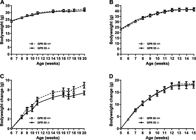 Growth trajectory in GPR55 knockout and wild-type mice.Bodyweight is shown for GPR55 knockout and control mice fed on chow (A), and high fat diet (B). Body weight change is shown for mice fed chow (C) or high fat diet (D). Two-way ANOVA showed no statistically significant differences between wild-type and knockout mice.