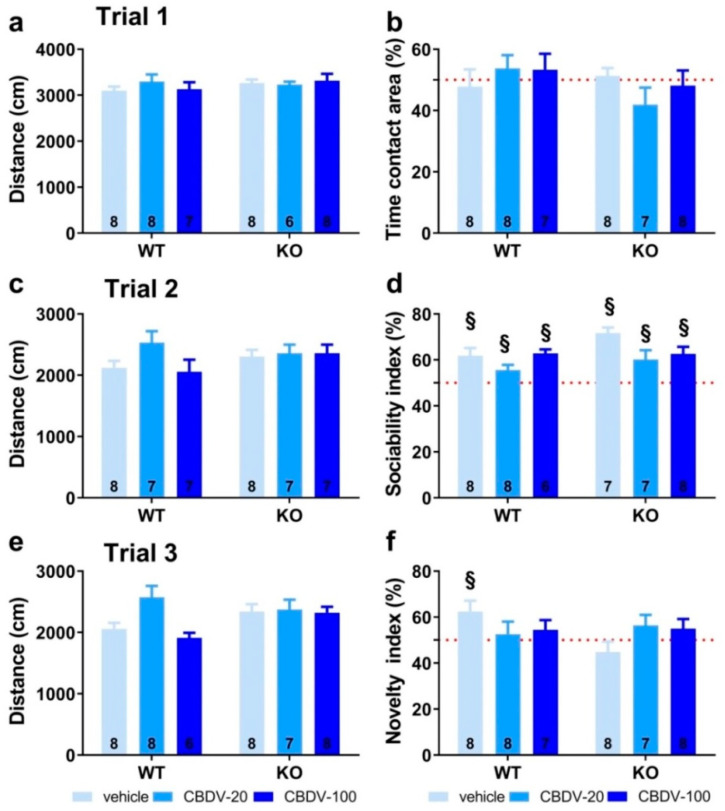 Effects of adult subchronic CBDV administration on sociability and social novelty preference in the three-compartment paradigm (Study 1). Locomotion (a,c,e), percent sociability (b,d) and social novelty recognition (f) scores are shown for each of the three 5 min trials of the test. These included a first trial of habituation to the apparatus containing the empty stimulus cages (a,b), a second trial of sociability (c,d) aimed at assessing the percent preference for a social versus non-social novel stimulus (juvenile male mouse versus inanimate object) and a third trial of social novelty preference (e,f) assessing the percent preference for a novel versus familiar stimulus mouse. Data are expressed as mean ± SEM. Numbers in histograms indicate sample size for each group. § versus chance level (50%, red dotted line).