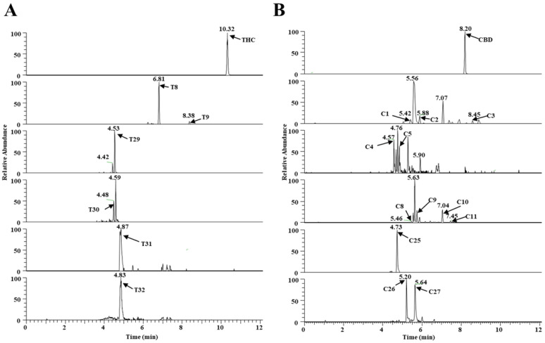 Metabolism of THC and CBD shown in a typical chromatogram of EIC, using UHPLC Q-Exactive MS in vitro. (A) THC metabolites (T0, T8, T9, and T29–T32) and (B) CBD metabolites (C1–C5, C8–C11, and C25–C27).