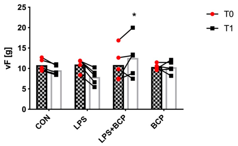 Force applied (g) by an electronic von Frey aesthesiometer before a response withdrawal was observed in female BALB/c mice for the following experimental groups: control (CON; n = 5), untreated LPS-induced IC (LPS; n = 5), LPS-induced IC treated with BCP (100 mg/kg, LPS + BCP; n = 5) and BCP administered to healthy animals (100 mg/kg, BCP; n = 5). All groups were pretreated with olive oil gavage, with the treat groups receiving BCP dissolved in olive oil. Saline and/or LPS was administered via intravesical instillation. Data presented as mean total force ± SD before cystitis induction (T0) and after the treatment period (T1). Individual data points are also shown. * p < 0.05 T1 LPS + BCP vs. T1 LPS.