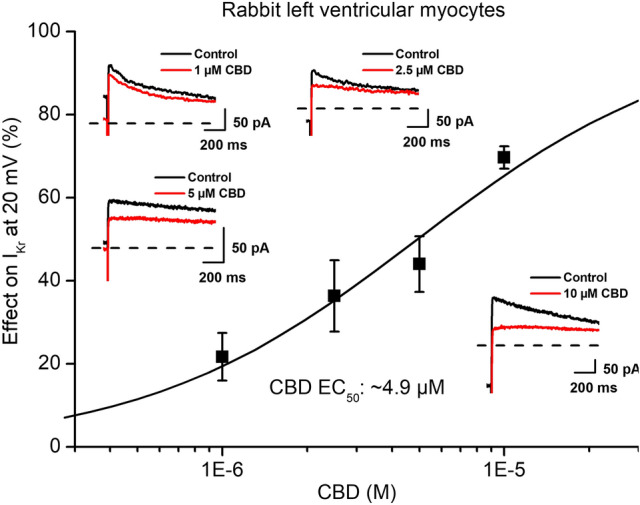 Effect of CBD on the rapid (IKr) delayed rectifier potassium currents. The panel displays CBD concentration–response curve indicating an estimated EC50 value of 4.9 µM for IKr blockade. The insets show the tail current section of original IKr current traces in control conditions and in the presence of 1 µM, 2.5 µM, 5 µM and 10 µM CBD recorded from rabbit left ventricular myocytes after a 1 s long pulse to 20 mV test potential with pulsing cycle length of 20 s. IKr deactivating tail current was measured at -40 mV. The dashed lines refer to the baseline for IKr tail current level after the test pulse at − 40 mV. Data are expressed as means ± SEM
