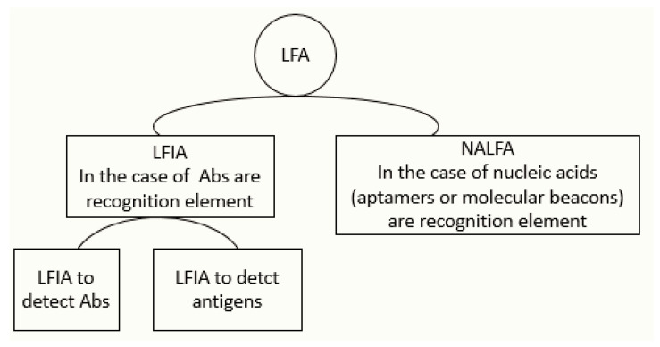Classification of LFA according to the element of revelation.