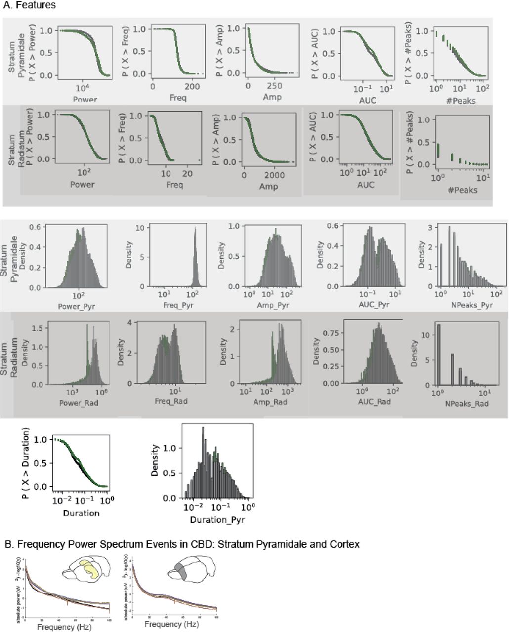 Event Characteristics CBD:A. Shown are the features for the four types of events for both stratum pyramidale and radiatum. B. Power spectrum for stratum pyramidale of hippocampus and for the prefrontal cortex (prelimbic electrodes site).