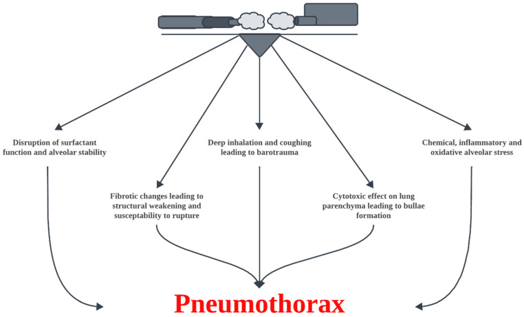 The pathophysiological mechanisms of VAP.