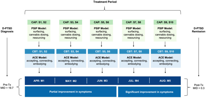 Timeline of clinical events. The patient received 10 CAP sessions, scheduled twice monthly, two-to-three weeks apart, as a treatment for complex D-PTSD. An autonomic and relational approach to psychotherapy was leveraged, namely PSIP. Each CAP session was accompanied by CBT, using the ACE model for integration, to decode experiential phenomena. CBT sessions occurred within 1 week of CAP. ACE, accept, connect, and embody (psychotherapy); CAP, cannabis-assisted psychotherapy; CBT, cognitive behavioral therapy; D-PTSD, dissociative posttraumatic stress disorder; M, month; MID, multidimensional inventory of dissociation; PSIP, psychedelic somatic interactional psychotherapy; S, session; Tx, treatment.