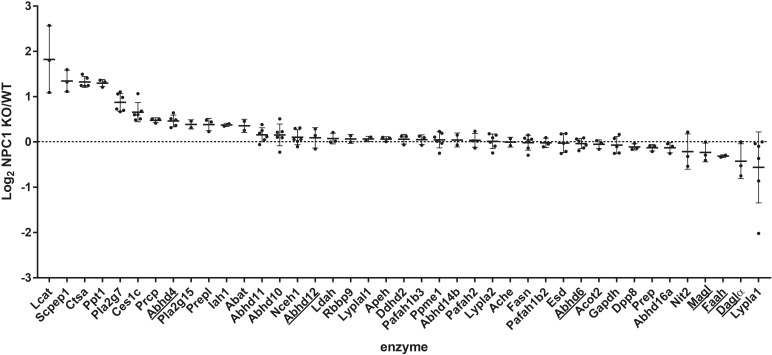 Chemical proteomics comparison of Npc1+/+ (WT) vs. Npc1-/- (KO). Log2 ratio of enzyme activity in Npc1-/- brain proteome compared to Npc1+/+. Activity was measured using FP-biotin or MB108 (both 10 μM). The data from both probes were combined for both the cytosolic and membrane fraction. The mean and standard deviation are shown. Endocannabinoid related enzymes are underlined. Statistical analysis by means of Student’s t-test (each ratio was compared to a log2 ratio of 0) and the resulting p values were subjected to Benjamini–Hochberg correction, setting the false discovery rate at 10% (∗ indicates significant difference).