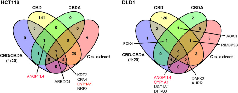 Venn diagram from differentially expressed genes after treatment with cannabinoids or C.s. extract. Venn diagrams display the number of overlapping differentially expressed genes (DEGs) identified in HCT116 and DLD1 colorectal cancer cells after treatment with 10 μM of either CBD, CBDA, CBD/CBDA (1:20), or C.s. extract. DEGs were defined by a false discovery rate (FDR) ≤ 0.05 and an absolute log2 fold change (log2FC) >|1.0|. Genes shown in red are differentially expressed in both cell lines and across nearly all treatment groups