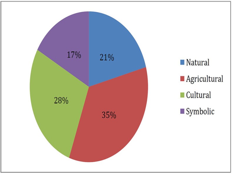 Pie chart representing relative frequency at which Lebanese rural youth (aged 7–16) took photographs of nature falling under different themes (n = 77).
