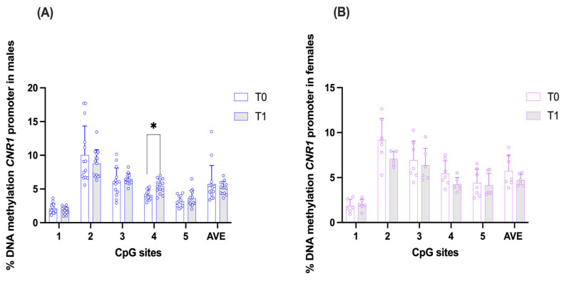 Comparison of DNA methylation status at CNR1 gene promoter in saliva samples of the two experimental groups: males (A) and females (B), at time points T0 (pre-expedition) and T1 (post-expedition). Data are expressed as mean ± standard deviation (SD) of the methylation % values of individual CpG sites under study as well as of the average (AVE) of the five CpG sites. Significant differences are indicated: Multiple Paired Wilcoxon signed-rank T-Tests, Holm–Sidak corrected * p = 0.037487, n = 12–14 males, n = 6–7 females.