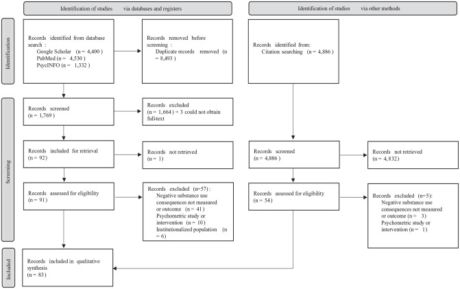 PRISMA flow chart.