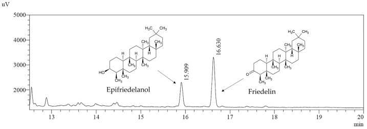 Chromatograms of friedelin and epifriedelanol quantification in HHR DMSO extract by GC-FID and their chemical structures.