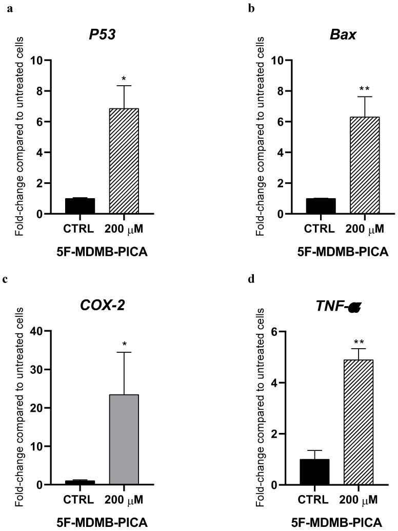 Effects of 5F-MDMB-PICA on the expression of apoptotic and inflammatory genes in U87-MG cells. Cells were treated with 200 µM 5F-MDMB-PICA for 24 h. P53 (a), Bax (b), COX-2 (c), and TNF- α (d) genes expression were evaluated using qPCR. Data are shown as fold change compared to control group and expressed as the mean ± SEM. * P < 0.05 and ** P < 0.01