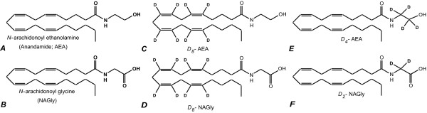 Structures of AEA and NAGly. A) the endocannabinoid, N-arachidonoyl ethanolamine (anandamide; AEA) and B) the related signaling lipid, N-arachidonoyl glycine (NAGly); C) deuterium-labeled AEA with eight deuteriums on the arachidonic acid moiety; D) deuterium-labeled NAGly with eight deuteriums on the arachidonic acid moiety; E) deuterium-labeled AEA with four deuteriums on the ethanolamine moiety; F) deuterium-labeled NAGly with 2 deuteriums on the glycine moiety.