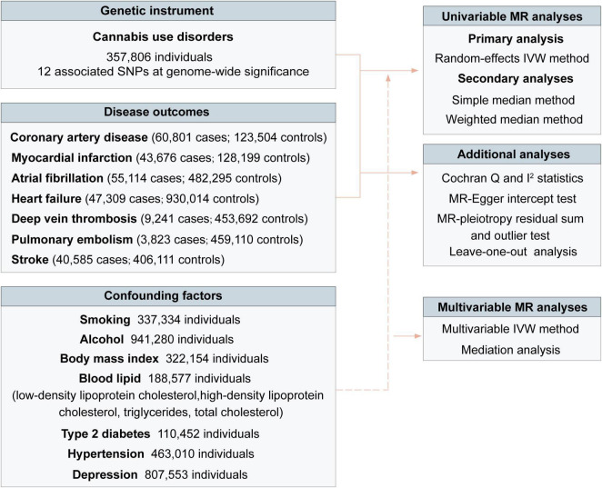 Overview of study design. IVW indicated the inverse-variance weighted method.