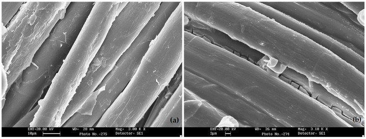 Scanning Electron Microscope (SEM) images of: (a) untreated hemp fabric (scale bar: 10 μm); (b) hemp fabric after the waterglass treatment (scale bar: 3 μm).